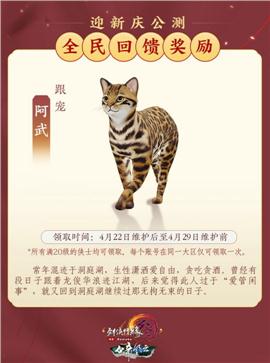 天龙八部鉴定版本私服
